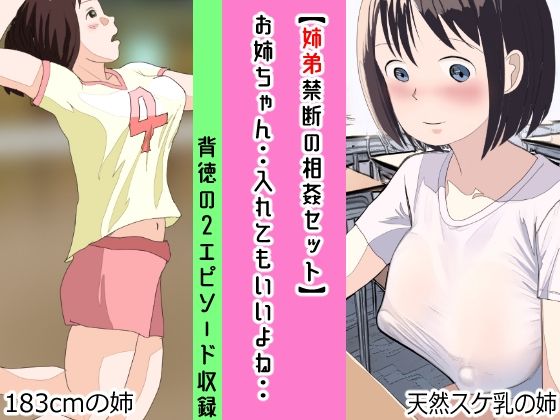 【【姉弟禁断の相姦セット】お姉ちゃん・・入れてもいいよね・・】パントマイム