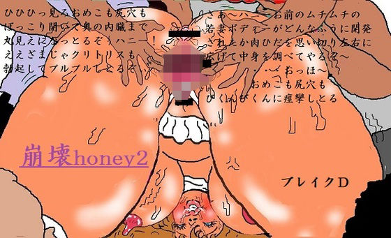 【崩壊honey2】ブレイクD