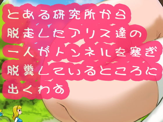 【とある研究所から脱走したアリス達の一人がトンネルを塞ぎ脱糞しているところに出くわす】SENIPHA